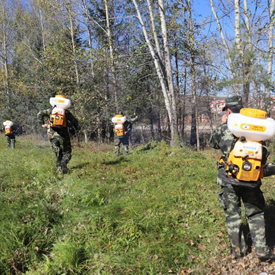 ɭ������4